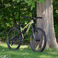 Diamondback Release 29