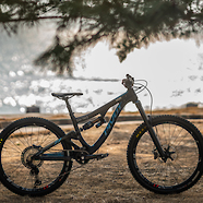 pivot firebird v1