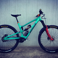 Zerode Katipo