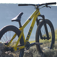 NS Decade Yellow 2020 //Miguel González