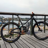 Niner Rip9 RDO