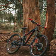 Norco Sight Killer B2 2014 (Custom)