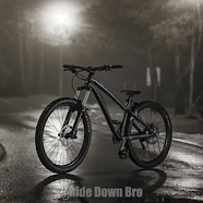 Dartmoor Hornet 2020 27.5