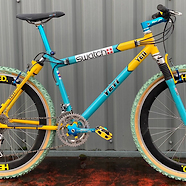 '95 exTeam Yeti Arc AS