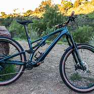2022 Stumpjumper Evo Expert - BRONZE EDITION
