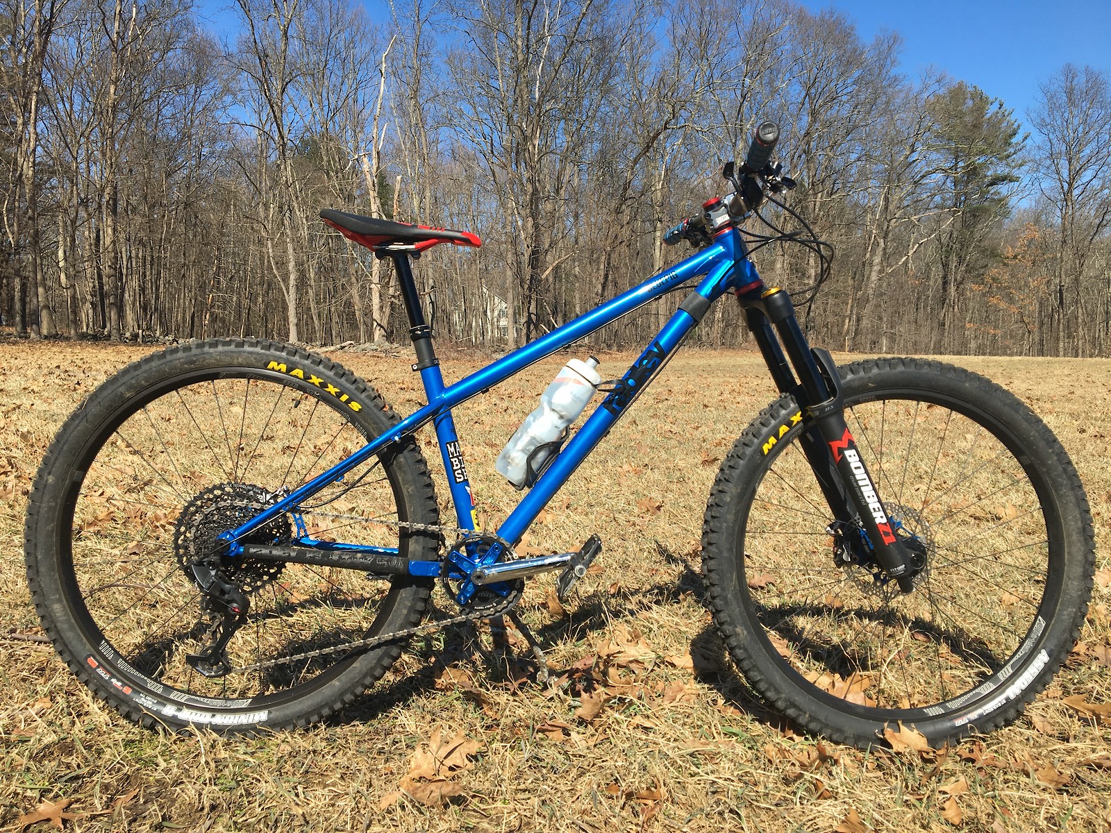 ragley blue pig 2016