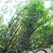 Commencal Meta HT Race 2019