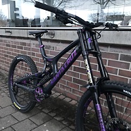 Santa Cruz v10 custom