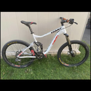 2011 giant reign
