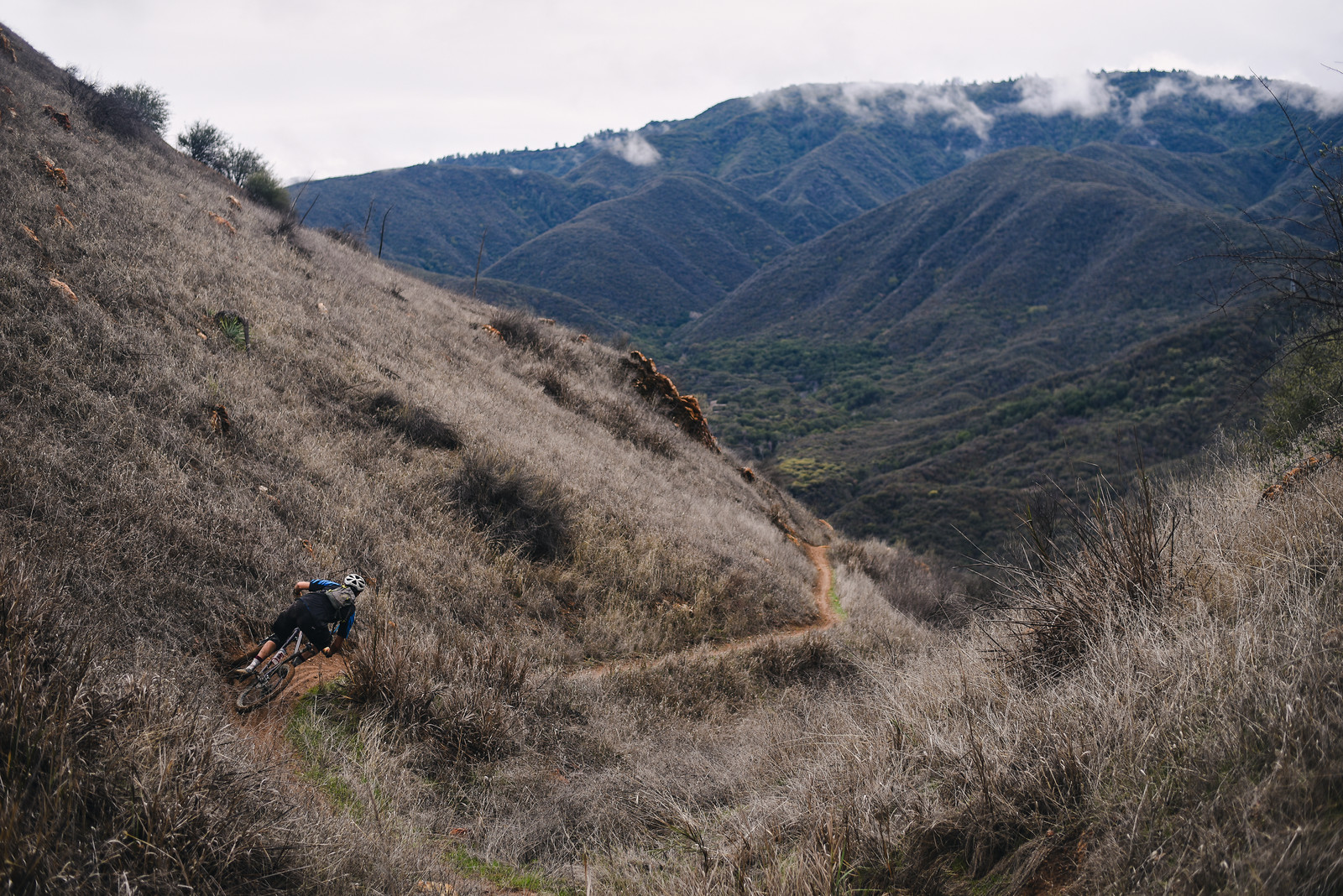 backcountry biking