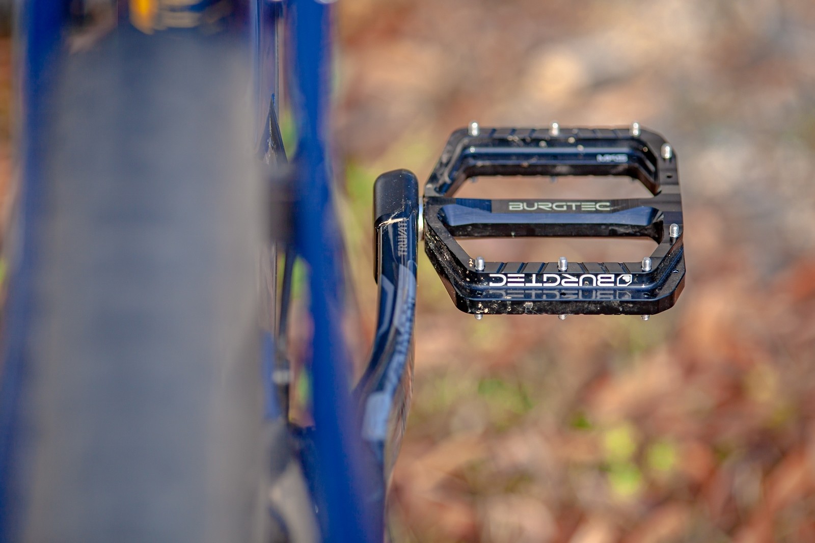 Kona Process X DL Dogboy's Bike Check Vital MTB