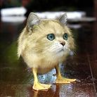 Profile picture for user Isaac_Alan