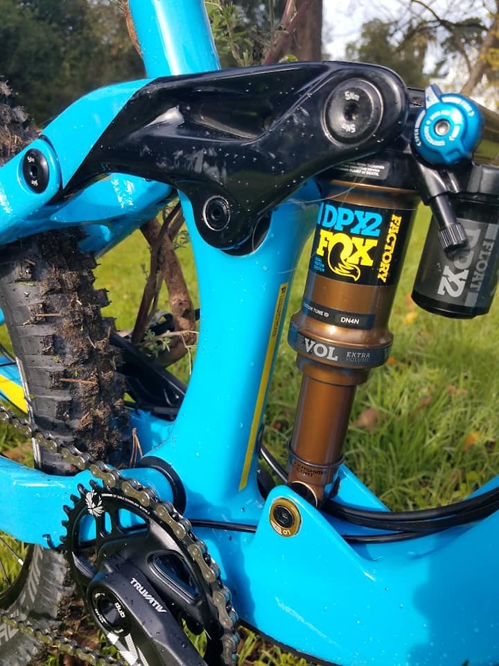 caad13 disc frameset