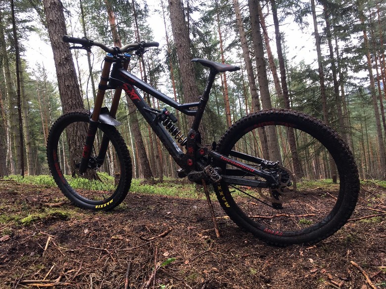 bergamont straitline mgn 2017