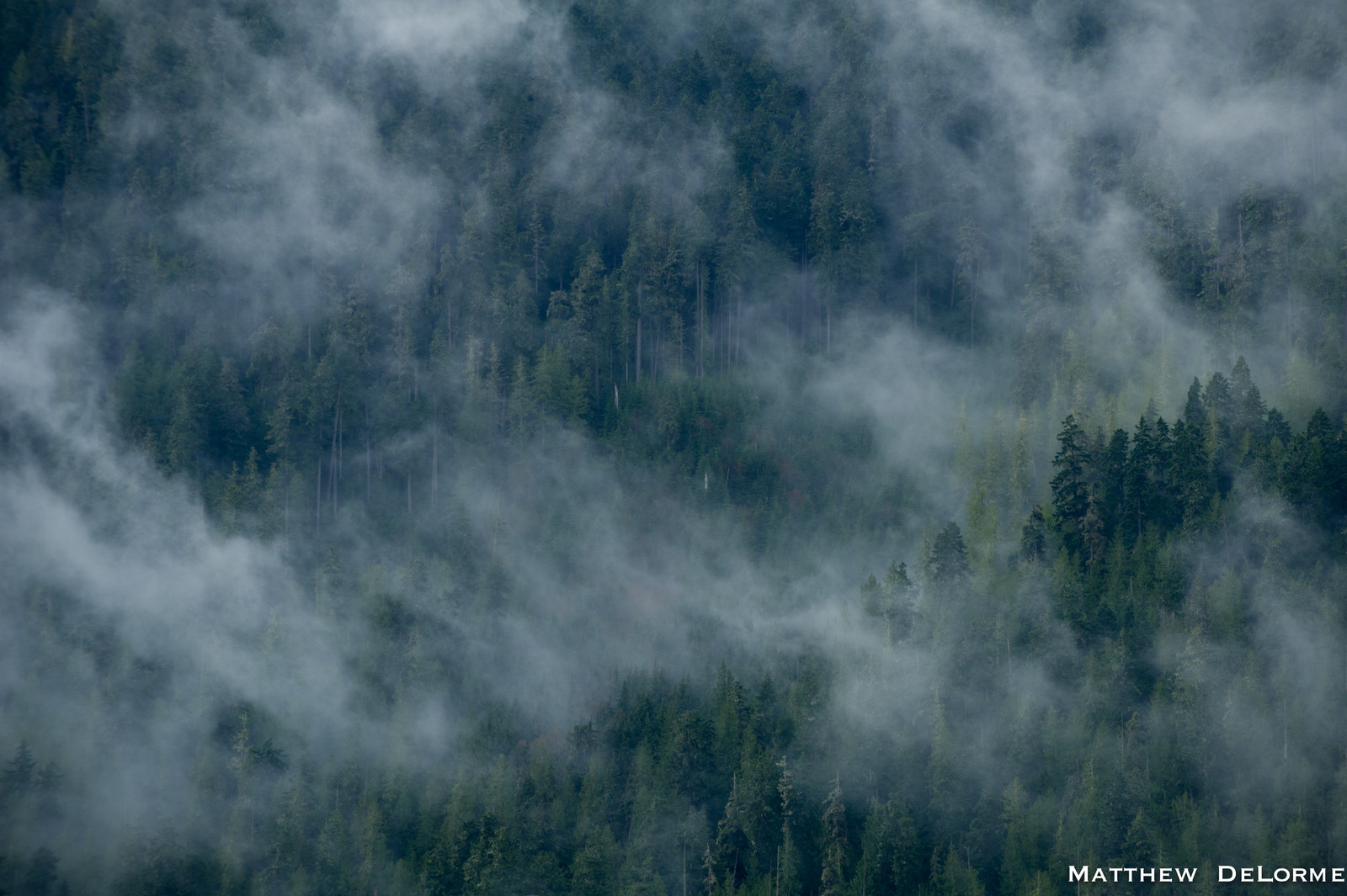 Port Angeles Weather 2012 Port Angeles Day One Mountain Biking