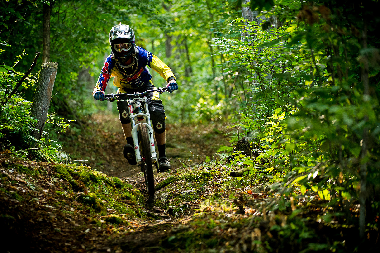 Ray Syron at the Plattekill ESC - mdelorme - Mountain Biking Pictures ...