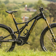 Specialized Levo Tribal Gold