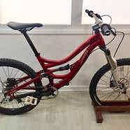 2010 Specialized SX