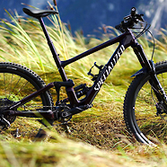 2020 Specialized Enduro Expert