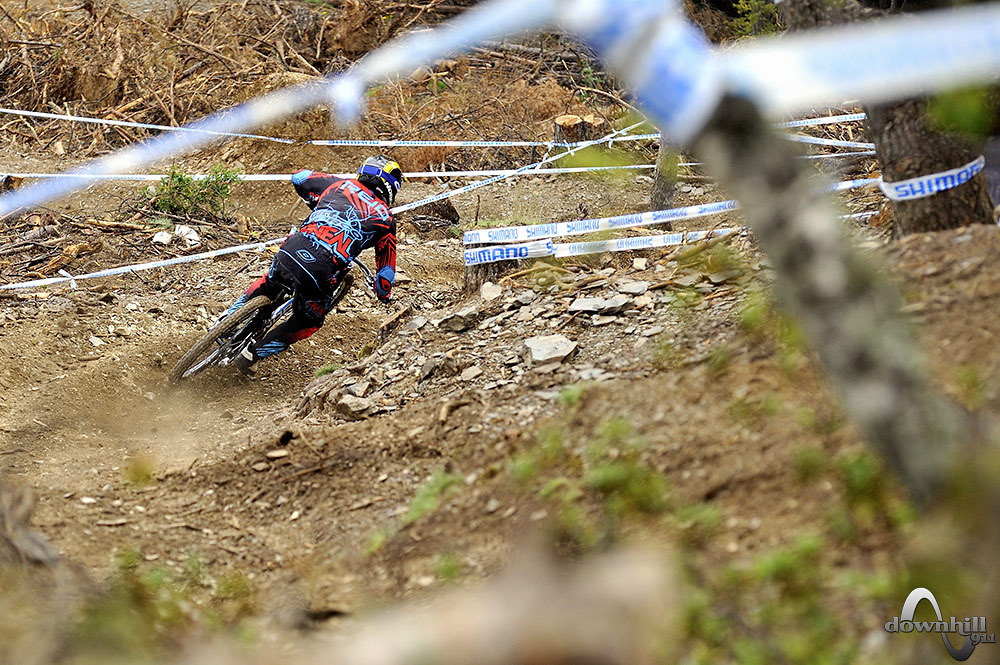 reid mountain bike review