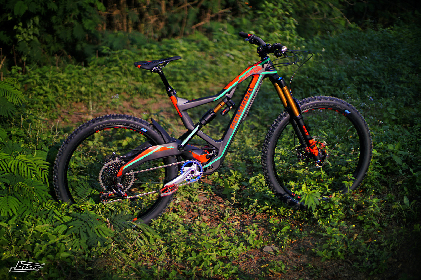 polygon bikes xquarone