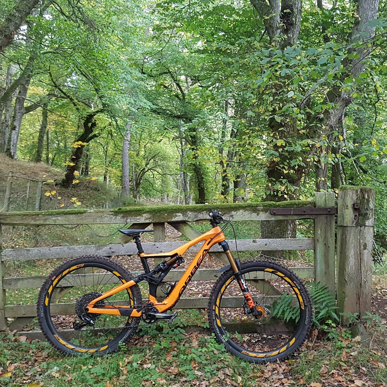 electric cafe racer for sale