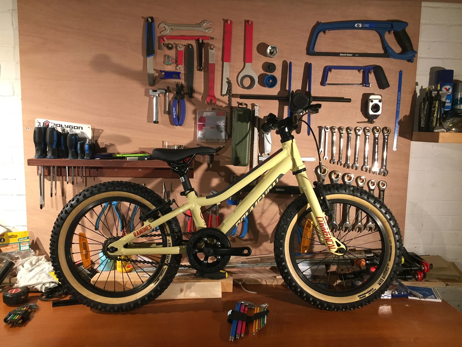 giant 20 inch mountain bike