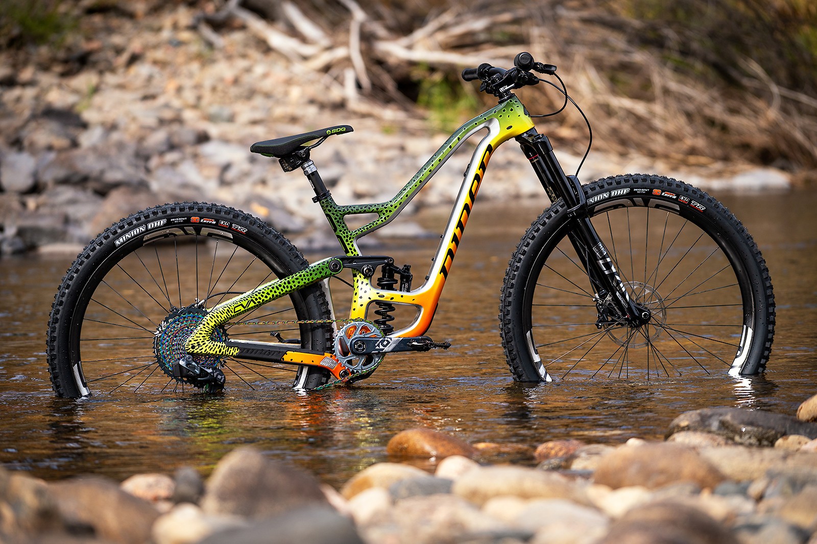 Niner RIP 9 RDO 2019 Vital Bike of the Day Collection Mountain