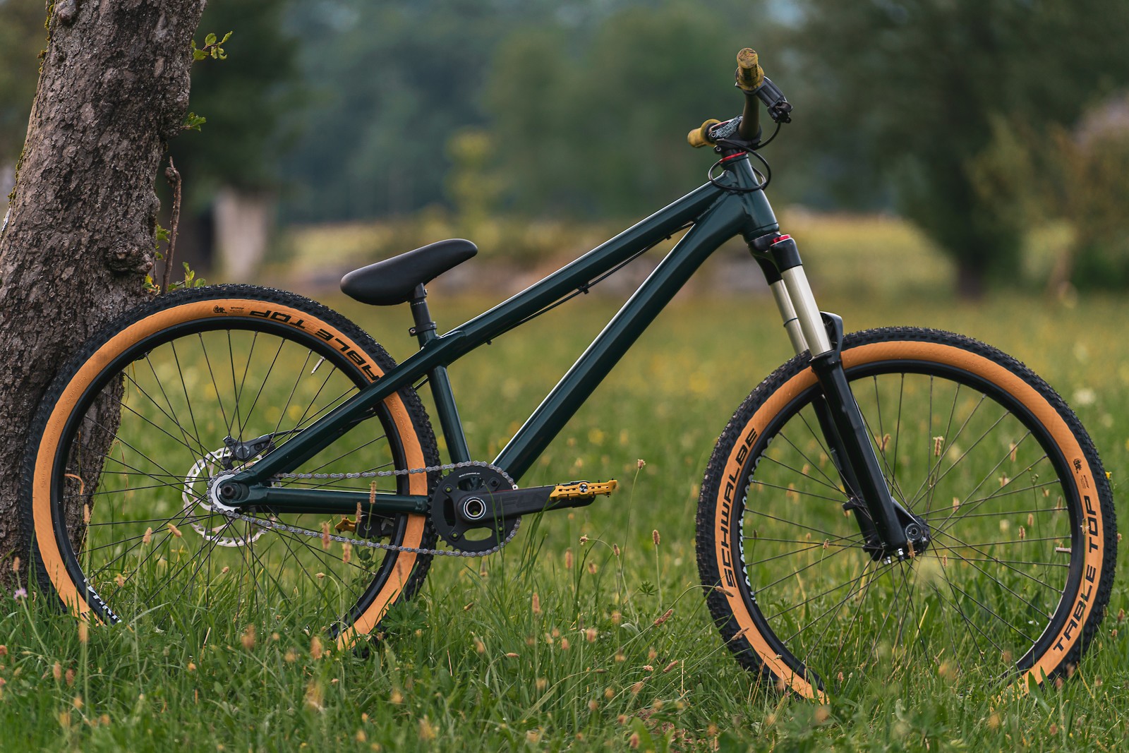 Dartmoor Two6Player Vital Bike of the Day JanFeb 2020 Mountain