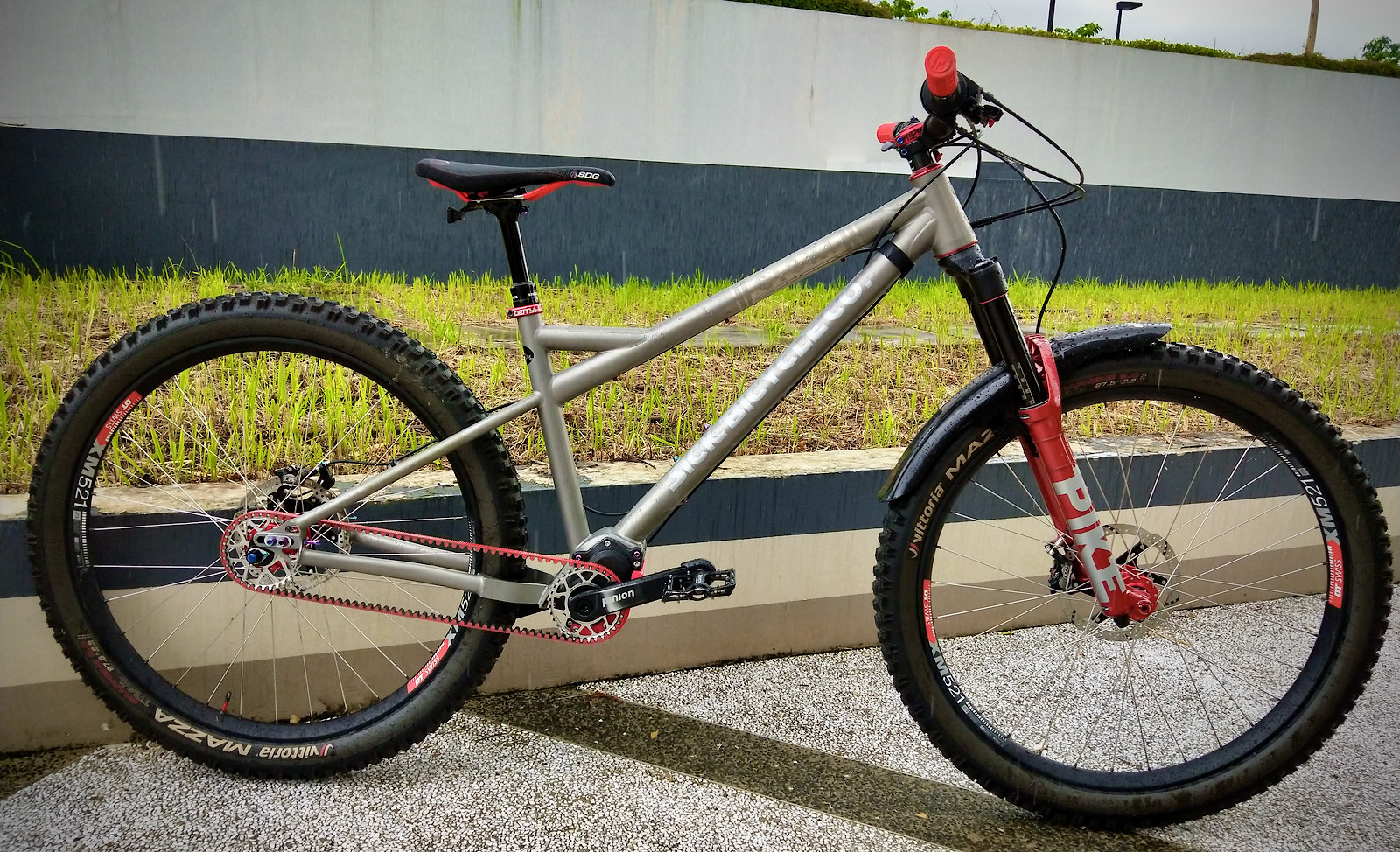 Sick Wulfbaron Ti Vital Bike of the Day December 2020 Mountain