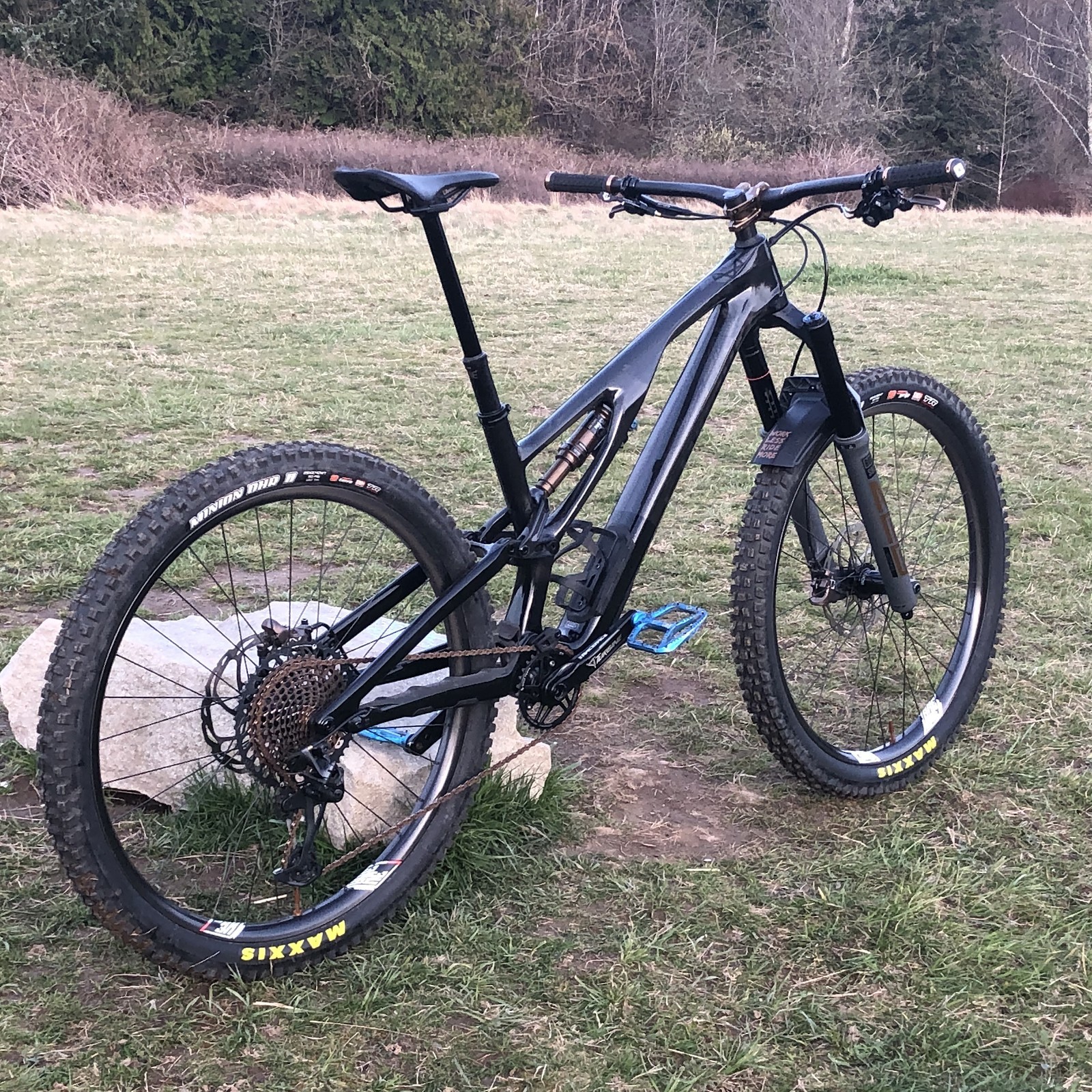 Specialized Stumpjumper SWorks EVO Vital Bike of the Day May 2021