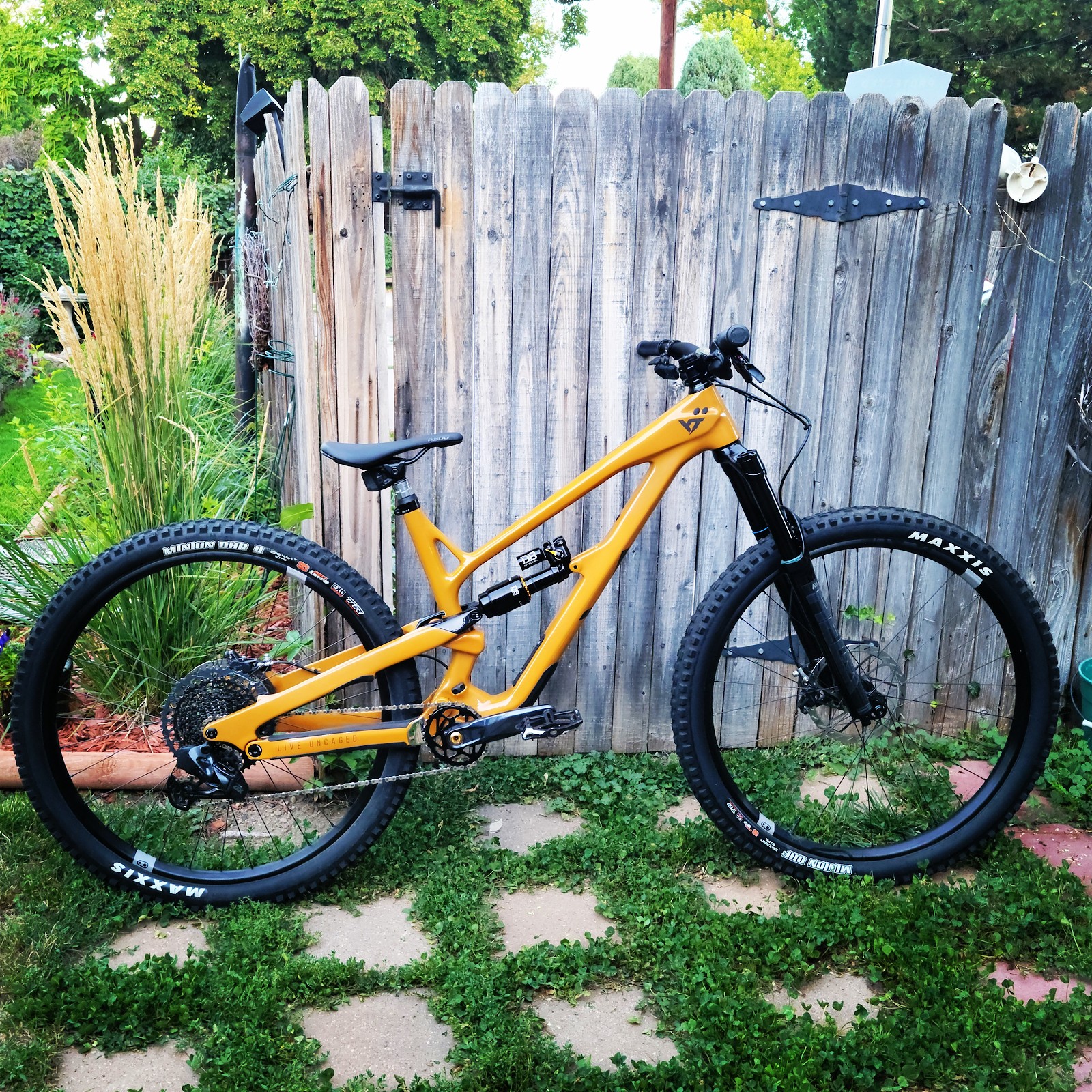 YT Jeffsy Uncaged 8 Vital Bike of the Day September 2022 Mountain