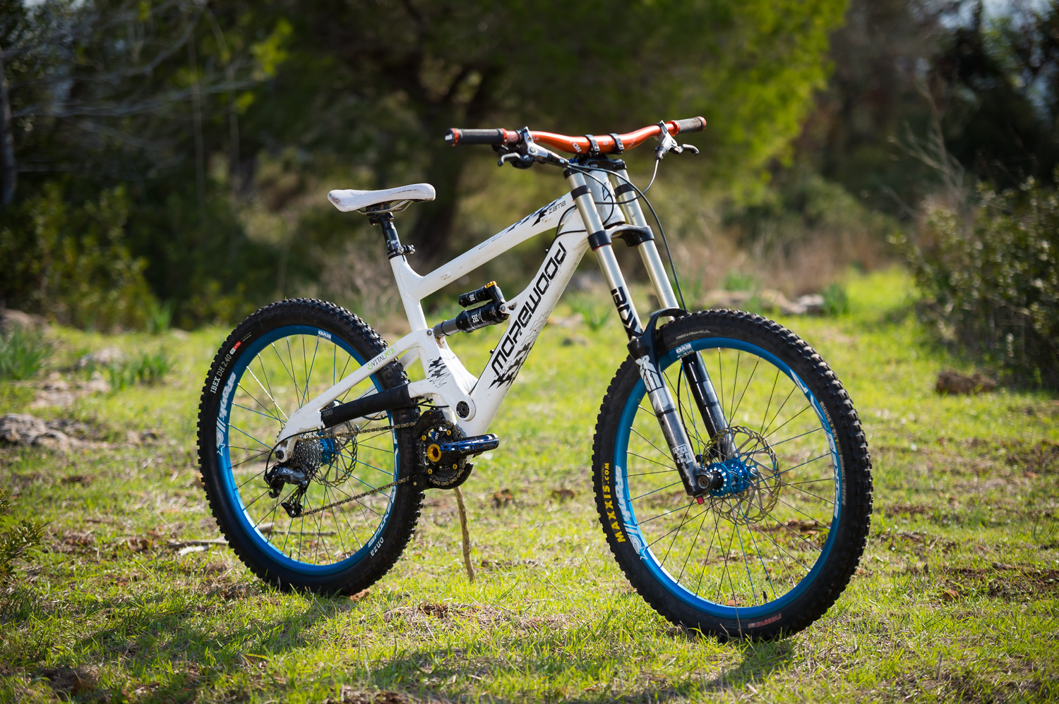 Miss Zama 3 - iceman2058's Bike Check - Vital MTB