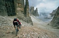 Profile picture for user cornish.mark