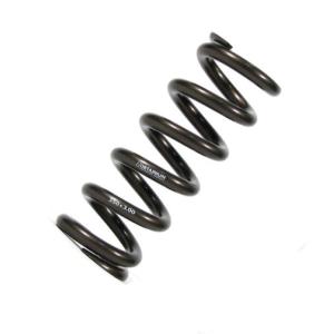Obtanium Titanium Spring