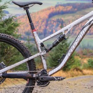 Bird Aether 9 (Gloss Raw)