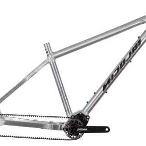 Nicolai Argon GTB Pinion