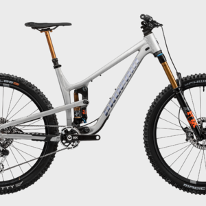 2023 Propain Tyee AL Goldrush (Raw Matte)