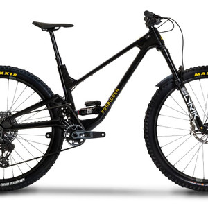 2023 Forbidden Druid V2 X0 AXS (Stardust; 29" version shown)