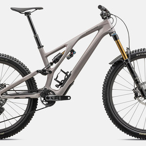2024 Specialized Stumpjumper EVO Pro