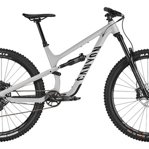 2024 Canyon Spectral AL 5 (Funkturm Grey)