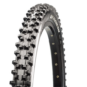 Maxxis Wetscream Tire