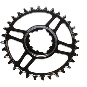 Praxis MTN DM1X Steel Chainring (2024)