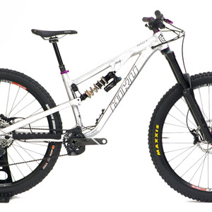 2024 Bird Aeris 9 (Raw, custom build shown)