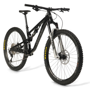 2024 Bird Aether 9 (Jet Black, custom build shown)