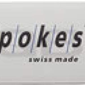 DT Swiss Alpine III Spokes