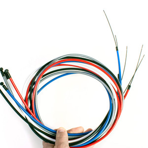 Eastern Moray Brake Cable (2024)