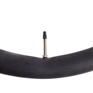 WTB Tube