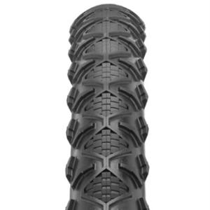 Ritchey Comp Speedmax Beta Tire (2024)
