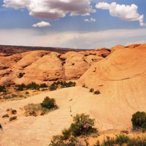 dirt_weeds_rock_landscape_3_lrg